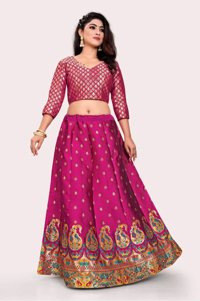 Banarasi Lehenga Choli Set With Keri Designs