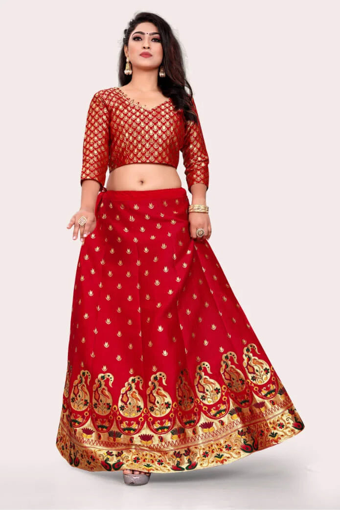 Banarasi Lehenga Choli Set With Keri Designs